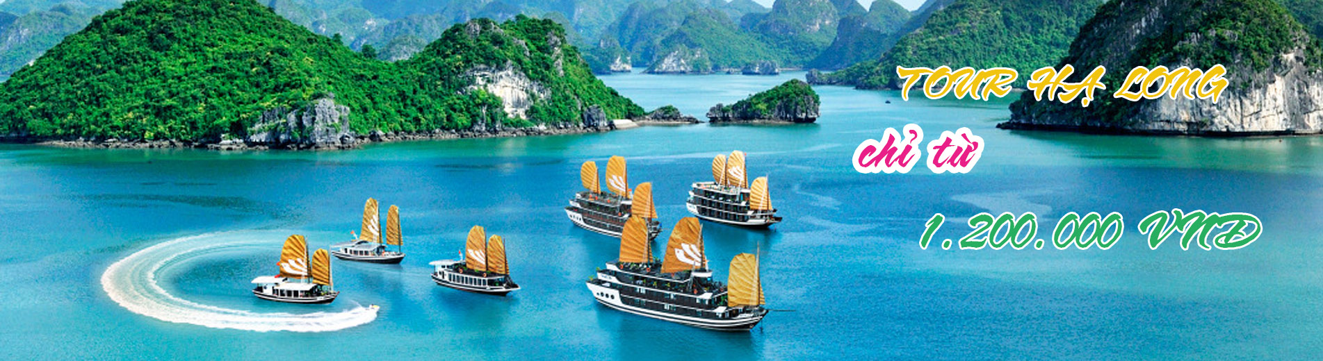 Tour Du Lịch Trọn Gói Trong Nước & Quốc Tế Ưu Đãi Hấp Dẫn