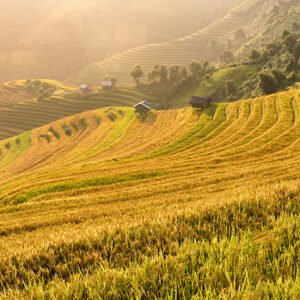 Tour du lịch Sapa 3 ngày 2 đêm