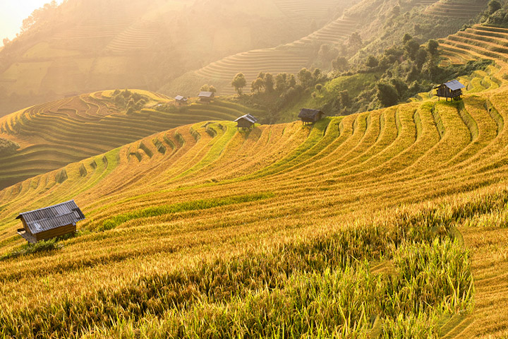 Tour du lịch Sapa 3 ngày 2 đêm